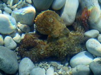 /album/fotogalerie-albanie-2009/albanie-foto-410-jpg/